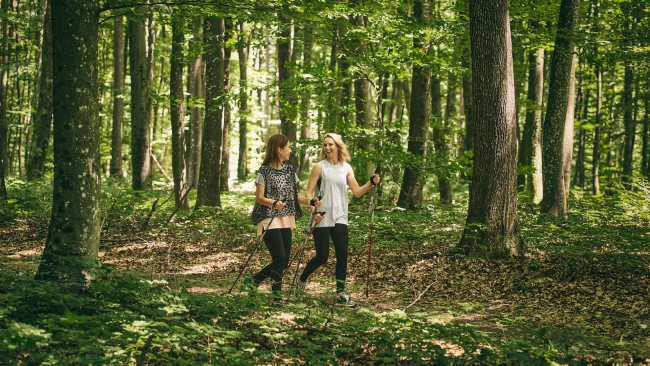 Vitarium Spa Clinique