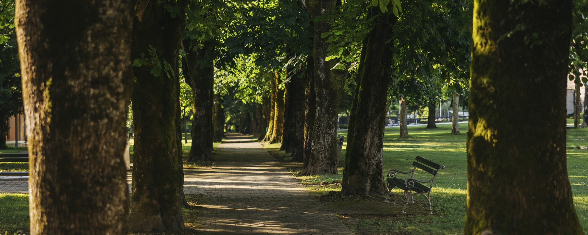 Terme Dolenjske Toplice Hotel Kristal park sprehajalne poti