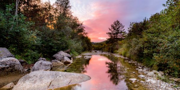 Dolina reke Dragonje izlet obala terme krka