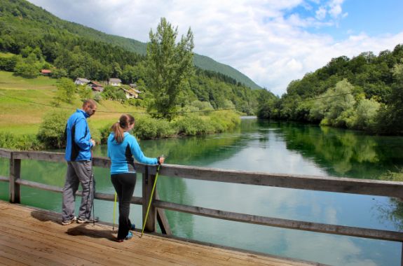 Tomi perincic termekrka 7