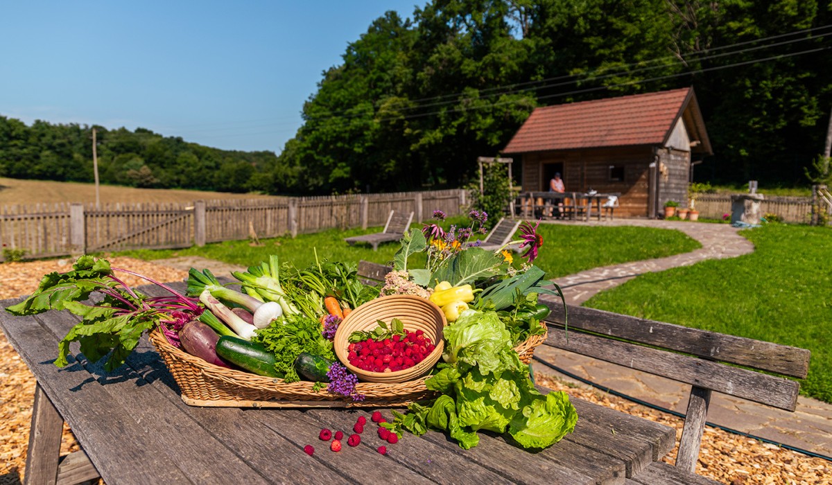 Cebele in kosara dobrot iz Grajskega vrta 35 of 38