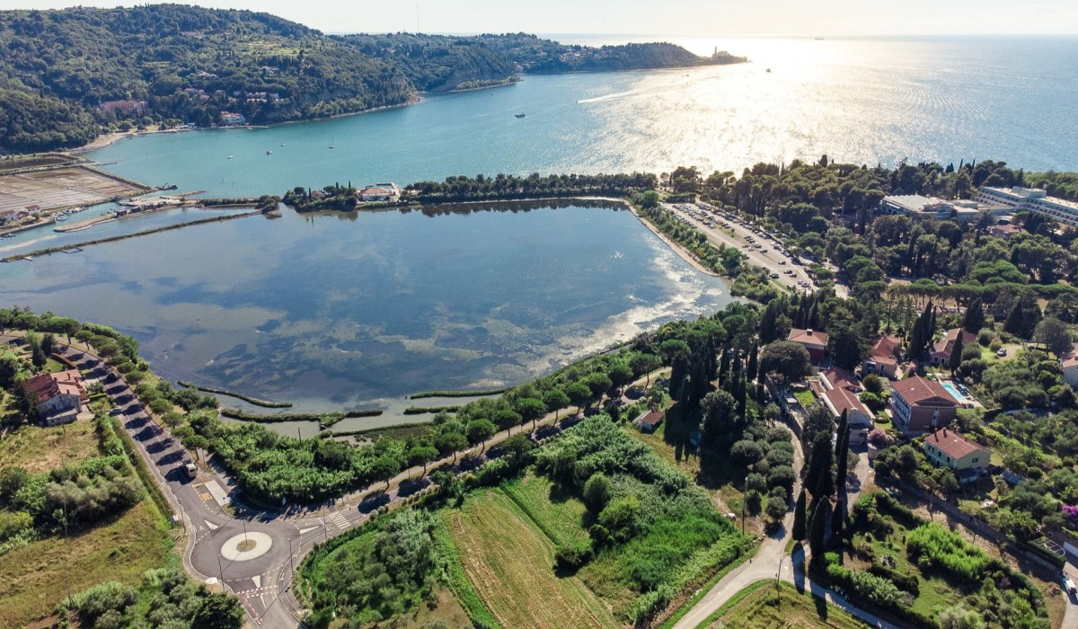 Morje Strunjan Terme Krka 6