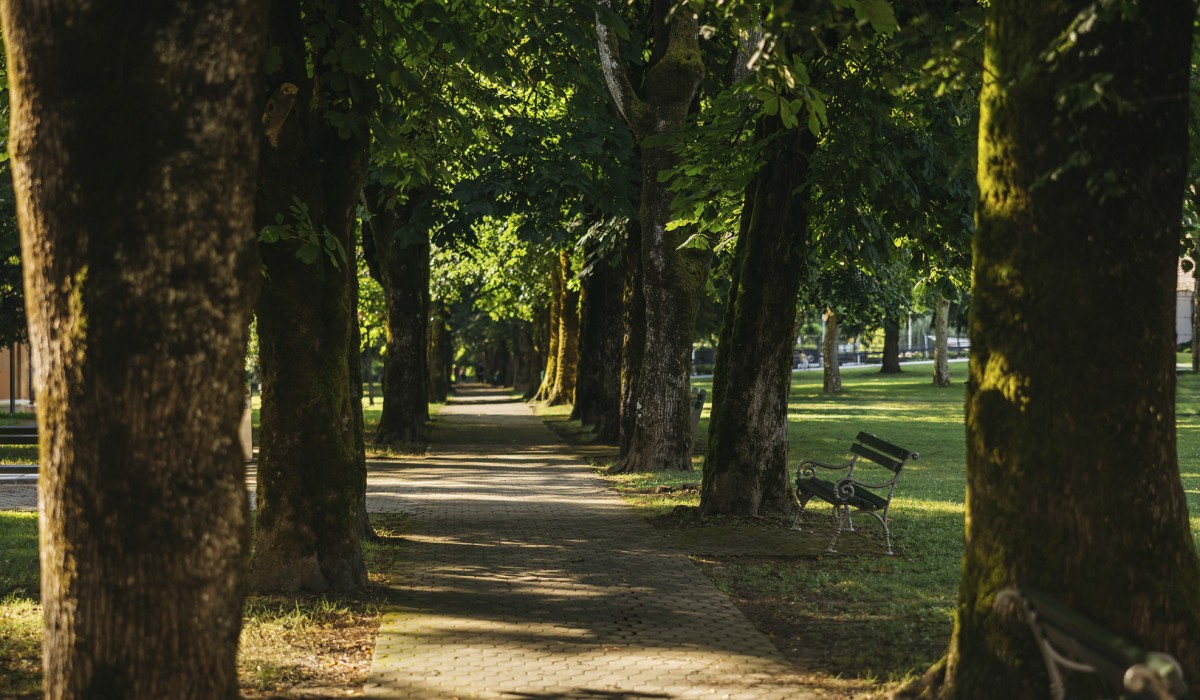 Terme Dolenjske Toplice drevored2