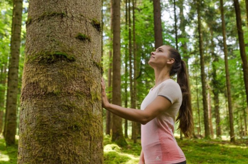 Terme Dolenjske Toplice cujecnost cujeca hoja